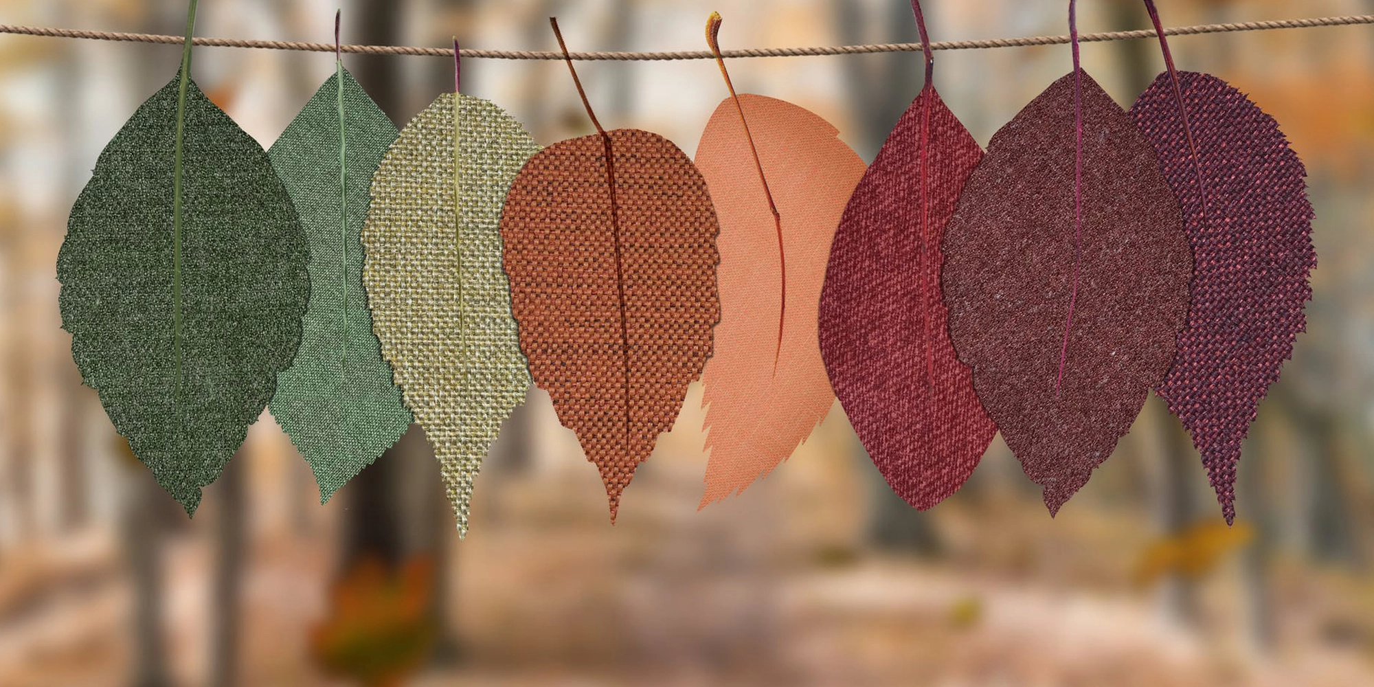 Organic Woven Fabric